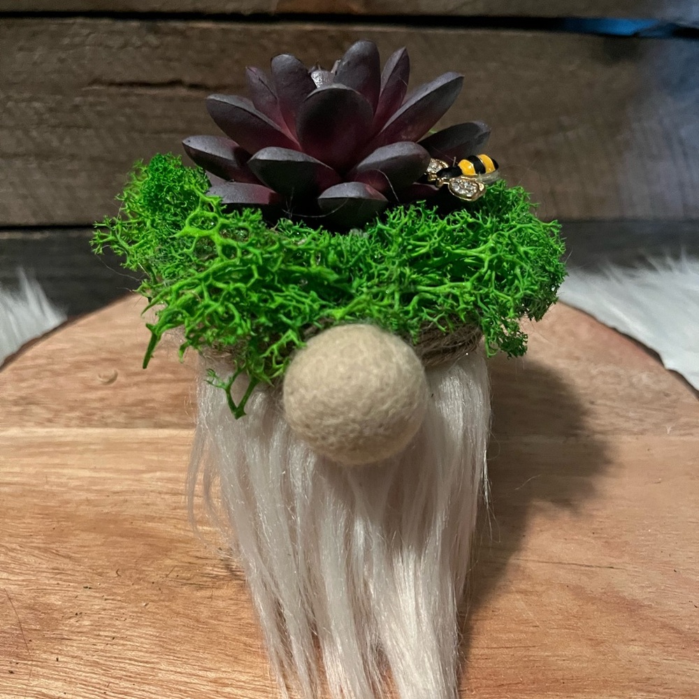 Whimsical Gnome Planter with Succulent and Moss